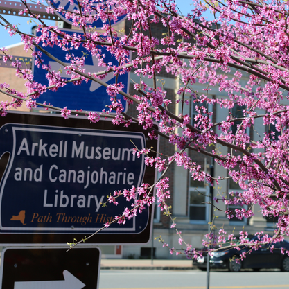 Picture of a state sign that reads: Arkell Museum and Canajoharie Library. Over the sign is a spray of pink flowers from a flowering red bush tree